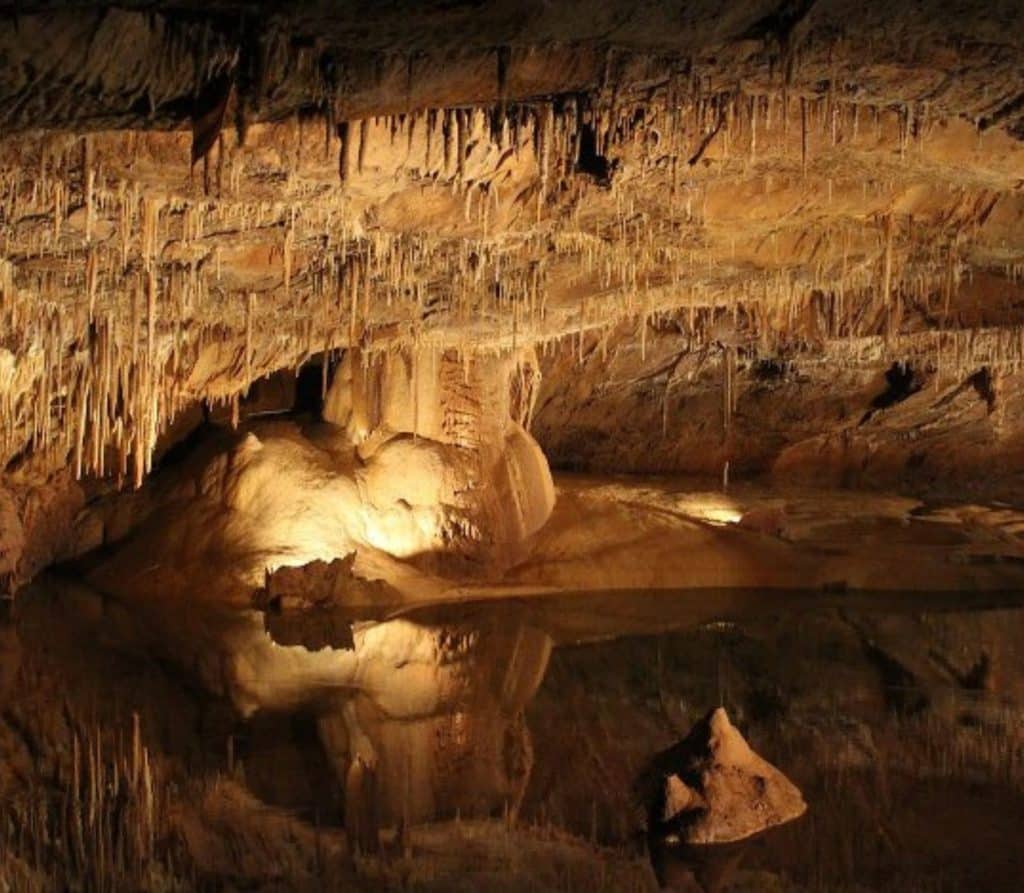 grottes de lascaux